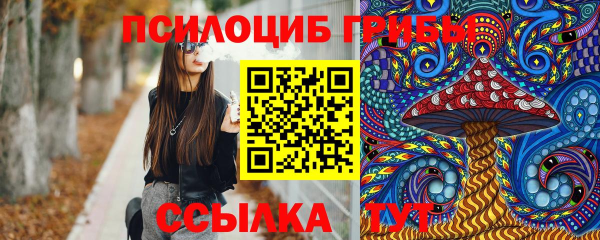 где можно купить наркотик  Псилоцибиновые грибы MAGIC MUSHROOMS  Ишимбай  Вход с VPN  Псилоцибиновые грибы GOLDEN TEACHER 