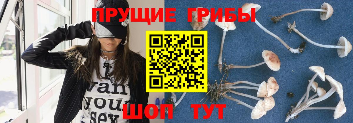 Галлюциногенные грибы MAGIC MUSHROOMS Ишимбай